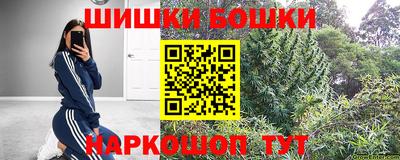тгк Обь