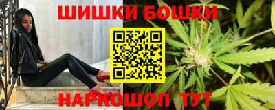тгк Обь
